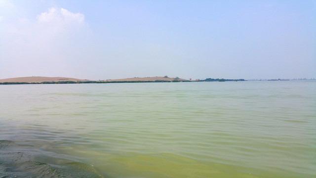 湿地公园