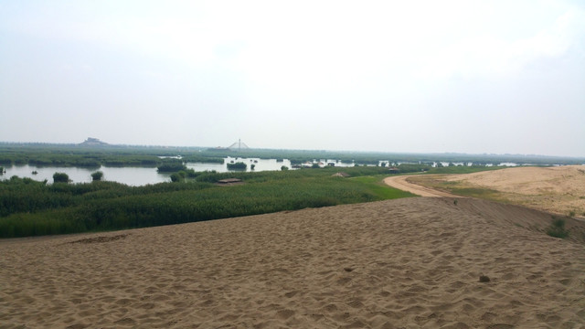 沙漠湿地