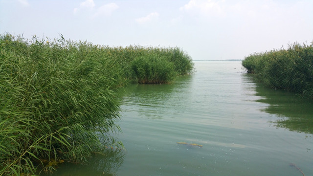 湿地公园