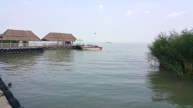 湿地公园