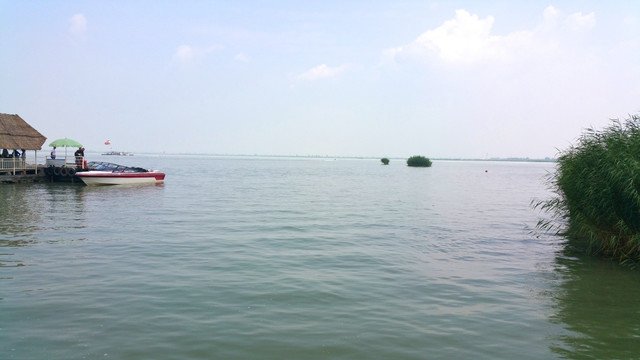 湿地公园
