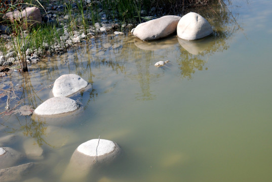 河水里的鹅卵石