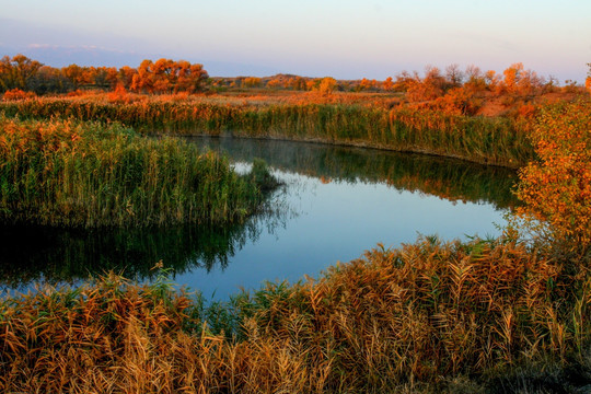 甘家湖洼地