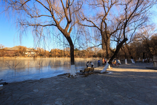 北京大学校园风光未名湖冰场冬景