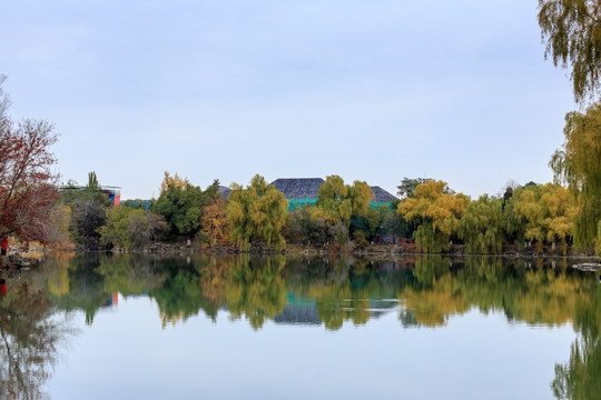 北京大学校园风光未名湖秋天秋色