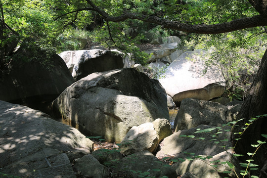 山涧岩石