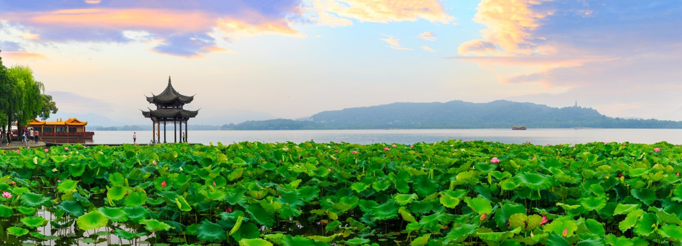 西湖全景