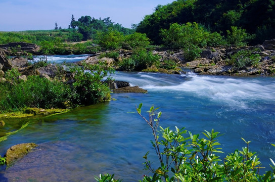 风景 溪流河流