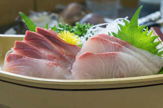 鰤鱼刺身 日本料理