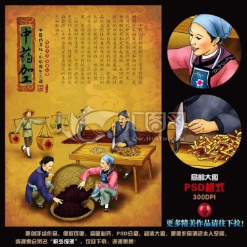 中药材加工 手绘 插画 宣传画