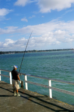 新西兰奥克兰海边钓鱼人