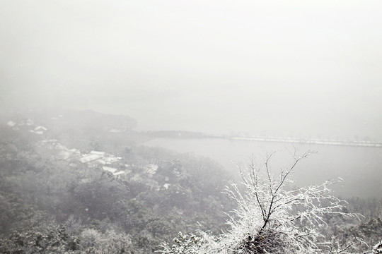 宝石山 雪景 西湖