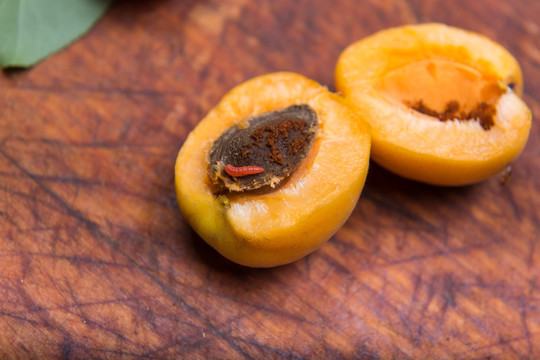 生虫子的杏 水果里面的虫子