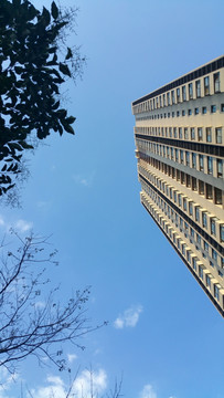 城市高楼