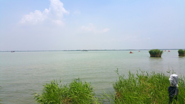 湿地公园