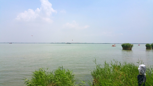 湿地公园