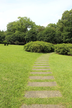 草地