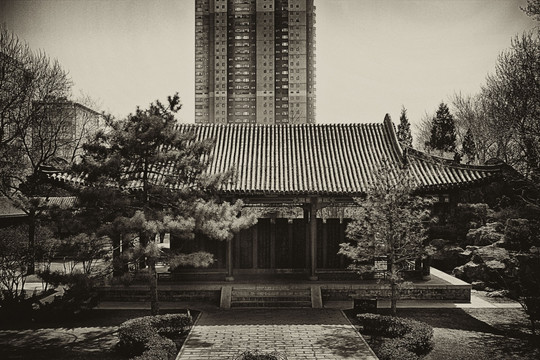 中式庭院 仿古建筑