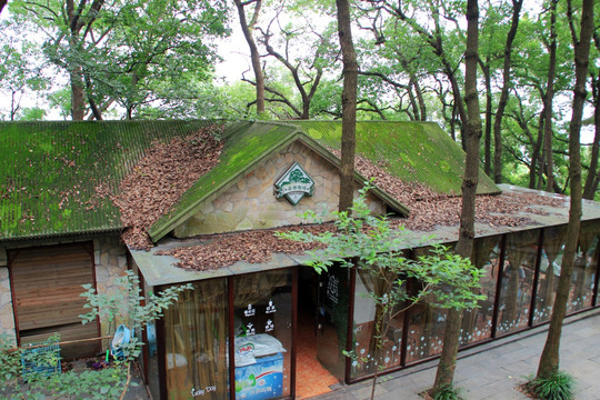 树林咖啡屋