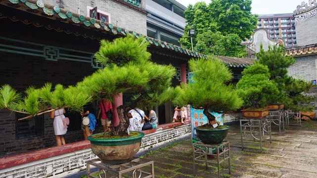 佛山祖庙 佛山景点 岭南文化