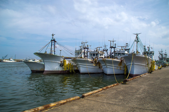 渔港 渔船