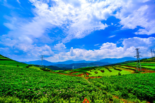 高原田园