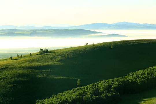 山岗云海