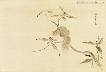 日本花鸟风景画 高清品质