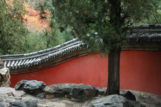 颐和园红墙