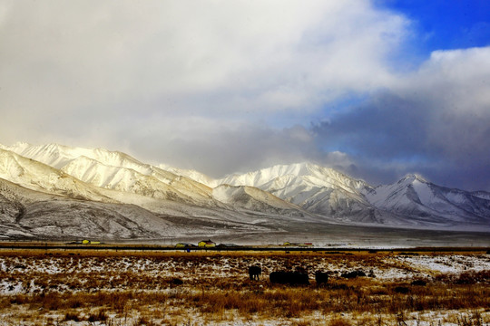 岗什卡雪峰