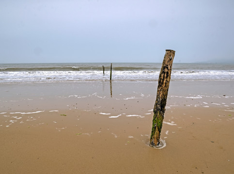 沙滩上的木桩