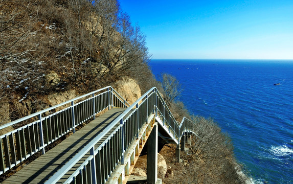 海边观景道路