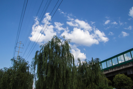 晴天路边风景