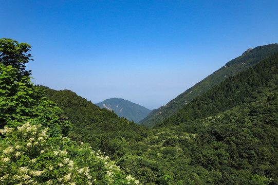 寿岳衡山