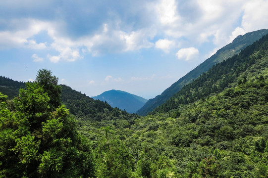 五岳独秀