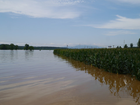 洪水与玉米地