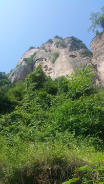 秦岭