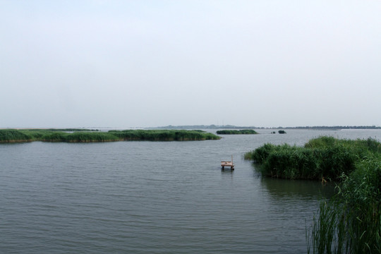 钓鱼 垂钓 湖面 鱼竿 湖水