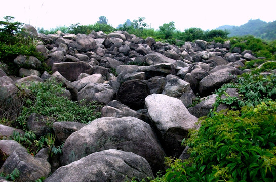 乱石岗 山坡 荒山