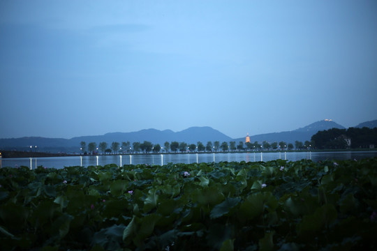 西湖夜色