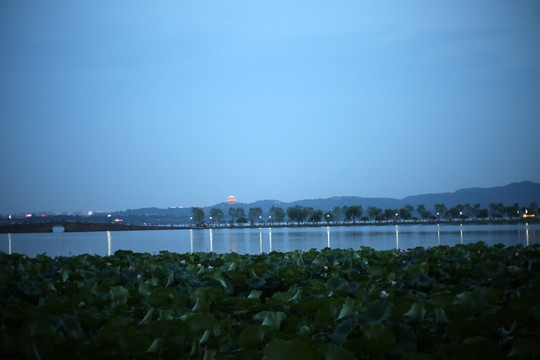 西湖夜景