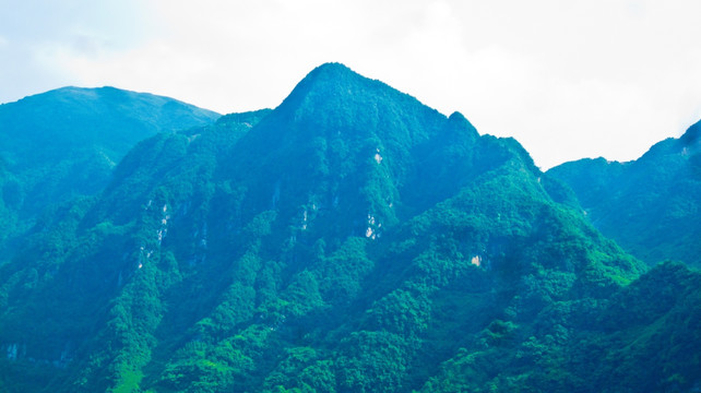 一座青山 绿色山野