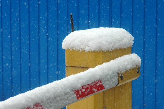 雪中静物