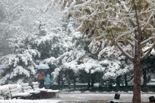 皇城根公园雪景