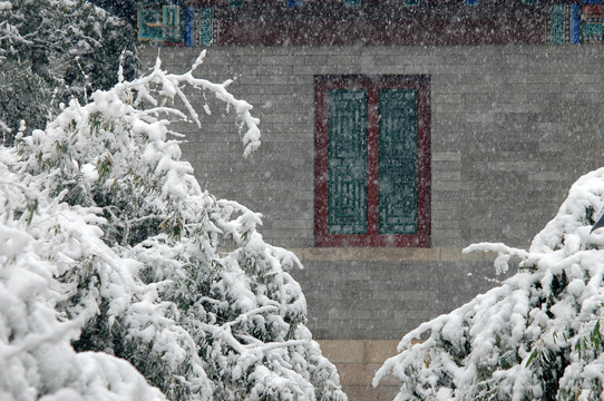 皇城根公园雪景