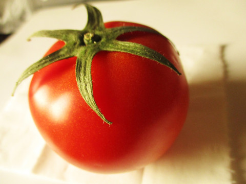 一个番茄 番茄摄影 番茄特写