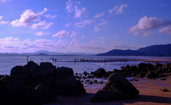 阳西 大树岛