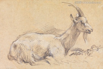 古老的动物素描手稿