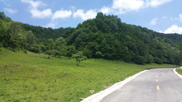 山间公路