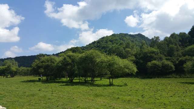 草原牧场